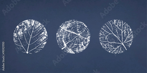 Modern tree rings pattern and leaf art overlaying dark midnight blue texture. White outlines of botanical species of tree and leaves.