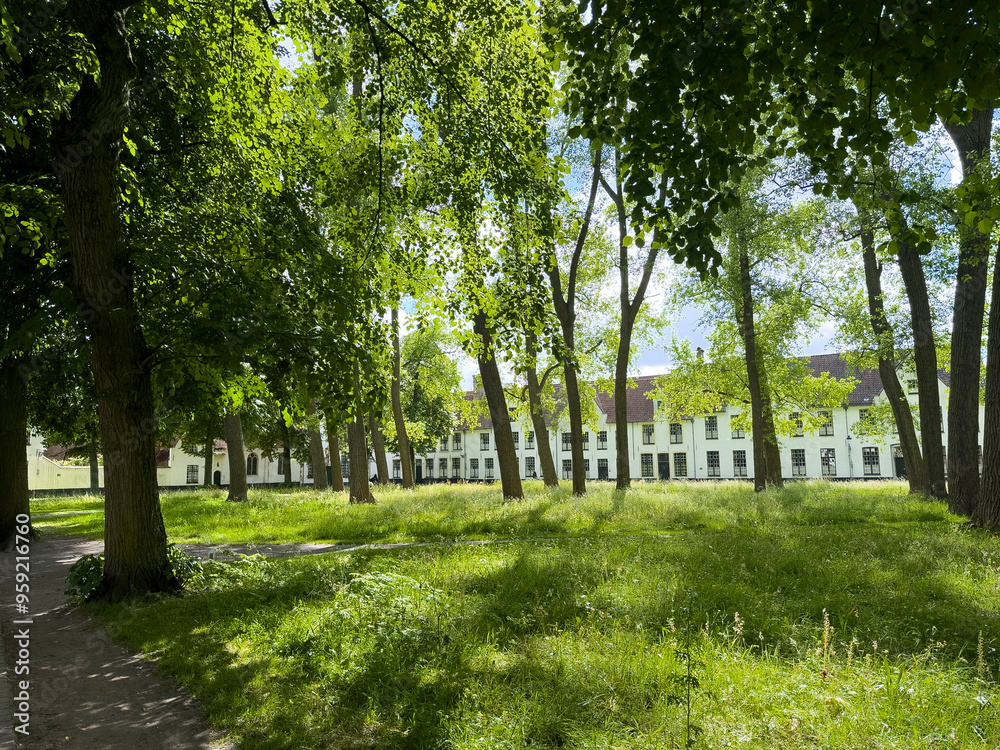 Brugge, Flanders, Belgium - June 22, 2024: Ten Wijngaerde Beguinage inner garden with tall trees on green lawn creating shadows. Facades in back Brugge, Flanders, Belgium - June 22, 2024: Ten Wijngaerde Beguinage inner garden with tall trees on green lawn creating shadows. Facades in back