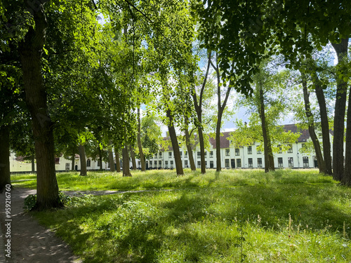 Brugge, Flanders, Belgium - June 22, 2024: Ten Wijngaerde Beguinage inner garden with tall trees on green lawn creating shadows. Facades in back photo