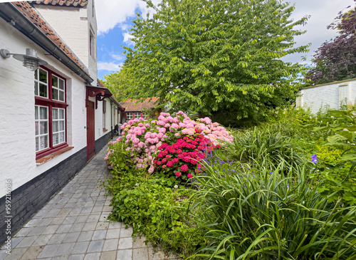 Brugge, Flanders, Belgium - June 22, 2024: Godshuis Rooms Convent, since 1330, dense garden with flowers, plants and tree. Poor housing with white facades and brown wood