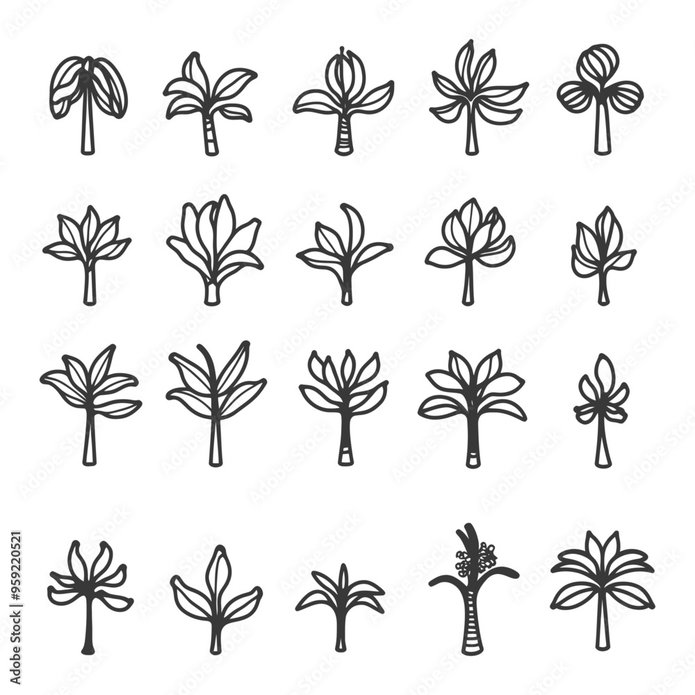 Collection of 20 Hand Drawn Palm Tree Illustrations Collection of 20 Hand Drawn Palm Tree Illustrations