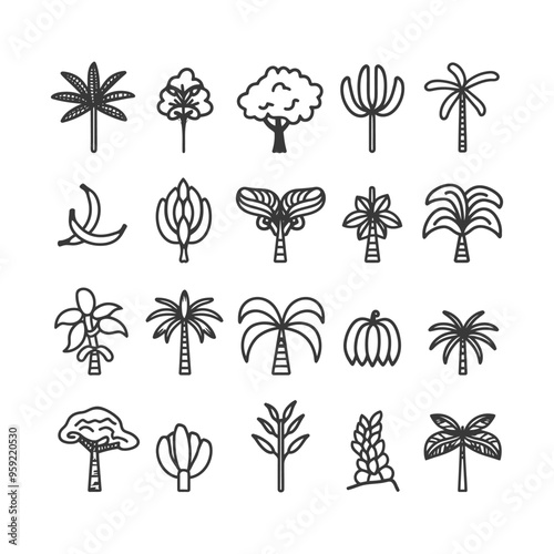 Hand Drawn Outline Illustrations of Various Palm Trees and Banana Trees