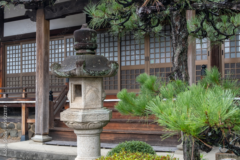 A stone lantern stands beside a lush pine tree in front of a traditional Japanese temple with wooden architecture and sliding doors. Traditional garden elements. A stone lantern stands beside a lush pine tree in front of a traditional Japanese temple with wooden architecture and sliding doors. Traditional garden elements.