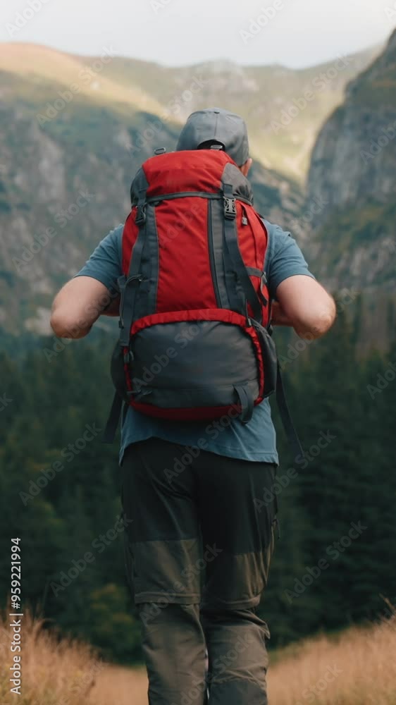 Vertical view following shot caucasian man hiker with red backpack walks along trail yellow dry grass field overlooking mountains covered with pine woods, rocky peaks, male backpacker, mountain valley Vertical view following shot caucasian man hiker with red backpack walks along trail yellow dry grass field overlooking mountains covered with pine woods, rocky peaks, male backpacker, mountain valley