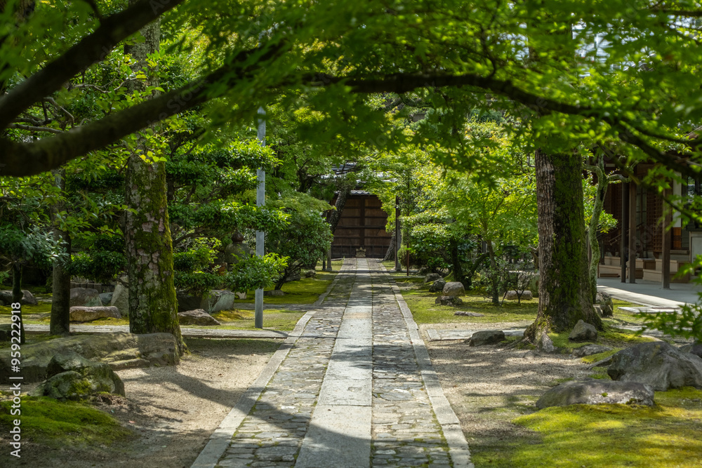 A Japanese garden features a stone path through lush trees, leading to a traditional wooden gate. Tall trees cast dappled shadows on the path, creating a peaceful atmosphere with an aesthetic ambiance A Japanese garden features a stone path through lush trees, leading to a traditional wooden gate. Tall trees cast dappled shadows on the path, creating a peaceful atmosphere with an aesthetic ambiance