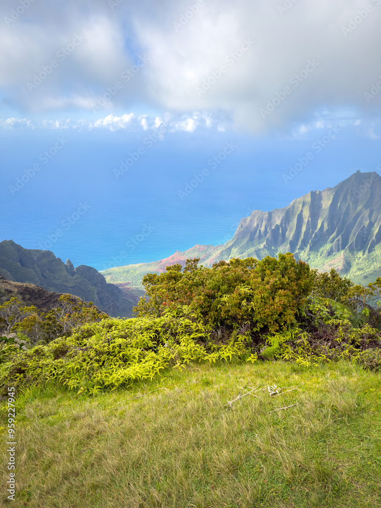 Kalalau Lookout with scenic view of beautiful Napali Coast at Koke'e State Park on the Hawaiian island of Kauai, USA