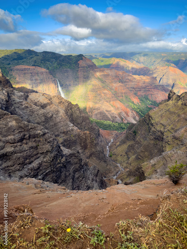 Scenic view of Waimea Canyon on the Hawaiian island of Kauai, USA seen from Puu Ka Pele Lookout photo