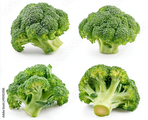 broccoli isolated on white