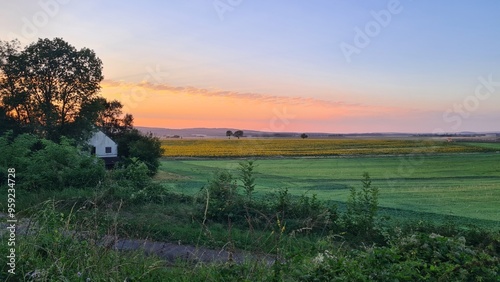 Canvas-taulu Coucher de soleil sur les champs de tournesol quelque part dans la campagne bour