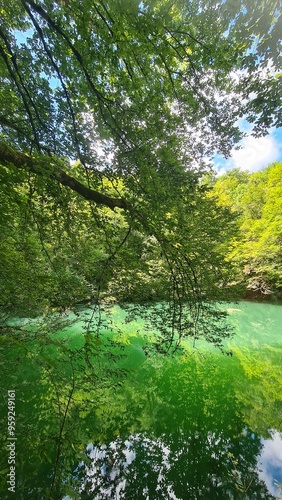 Le bassin de la résurgence de Saint-Sauveur (de l'Ouysse) photo