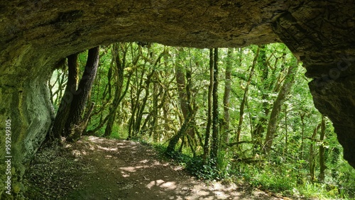 La grotte Saint-Sauveur (résurgence de l'Ouysse) photo