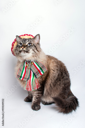 Gatitos patrios