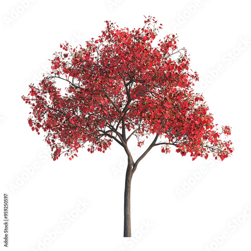 Red Tree Illustration, Autumn Tree Art, Tree with Red Leaves, Seasonal Tree Design, Nature Artwork, Red Foliage Tree Print