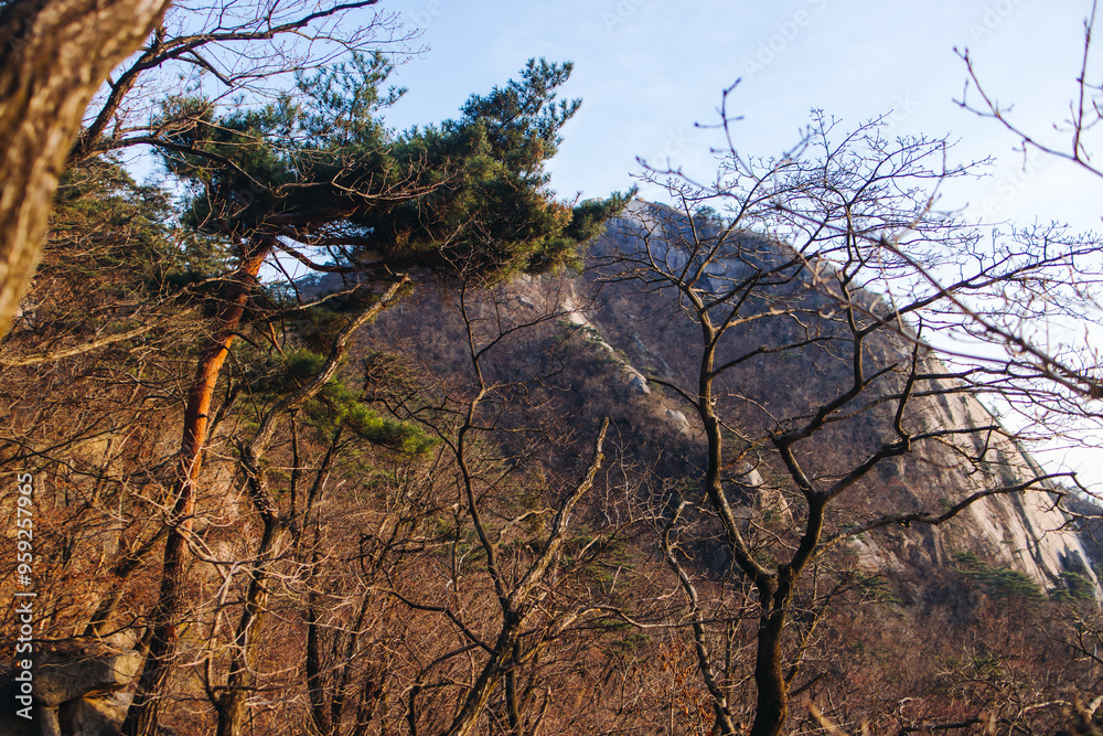 Bukhansan National Park, Seoul, Gyeonggi-do, South Korea, spring landscape view during hike to Baegundae summit peak, process of trekking and climbing to Bukhan mountain, travel and hiking in Korea Bukhansan National Park, Seoul, Gyeonggi-do, South Korea, spring landscape view during hike to Baegundae summit peak, process of trekking and climbing to Bukhan mountain, travel and hiking in Korea