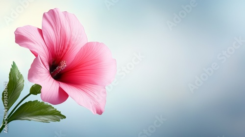 A pink flower with a green stem is the main focus of the image