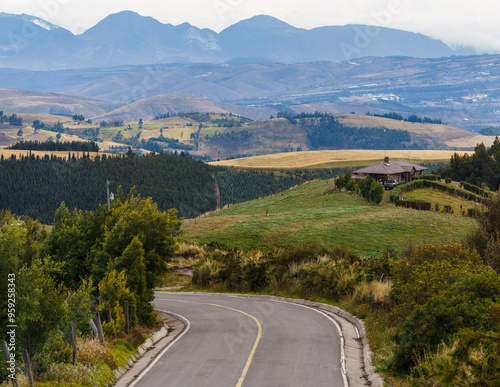 asphal road to the mountains photo