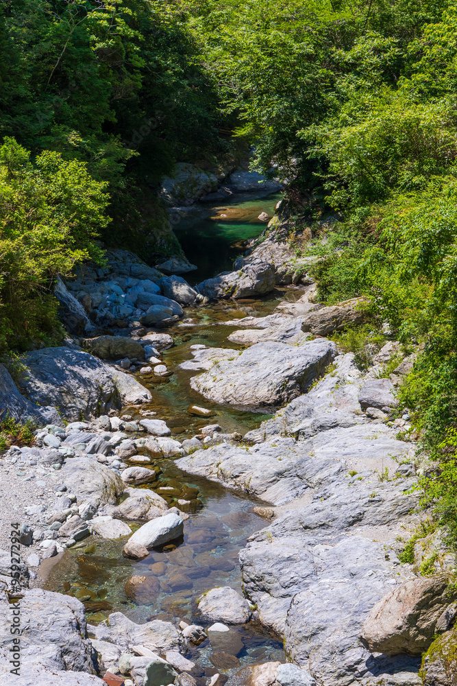 日本の風景・夏 高知 奇跡の清流 仁淀川 日本の風景・夏 高知 奇跡の清流 仁淀川