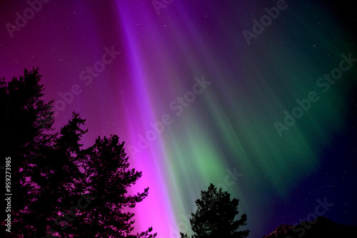 Northern Lights Pink and Green With Silhouette