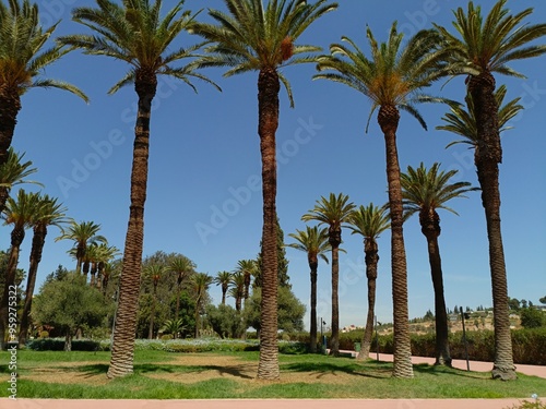 Meknes, Morocco, August 13, 2024: Picturesque and attractive green spaces in the lahboul historical park in the Ismaili capital of Meknes photo