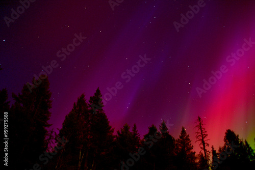 Aurora Night Sky