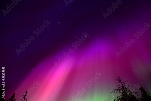 Pink and Purple Aurora Borealis Northern Lights