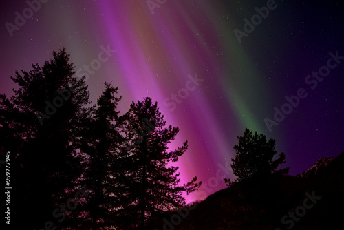 Green and Pink Spectacular Aurora Borealis