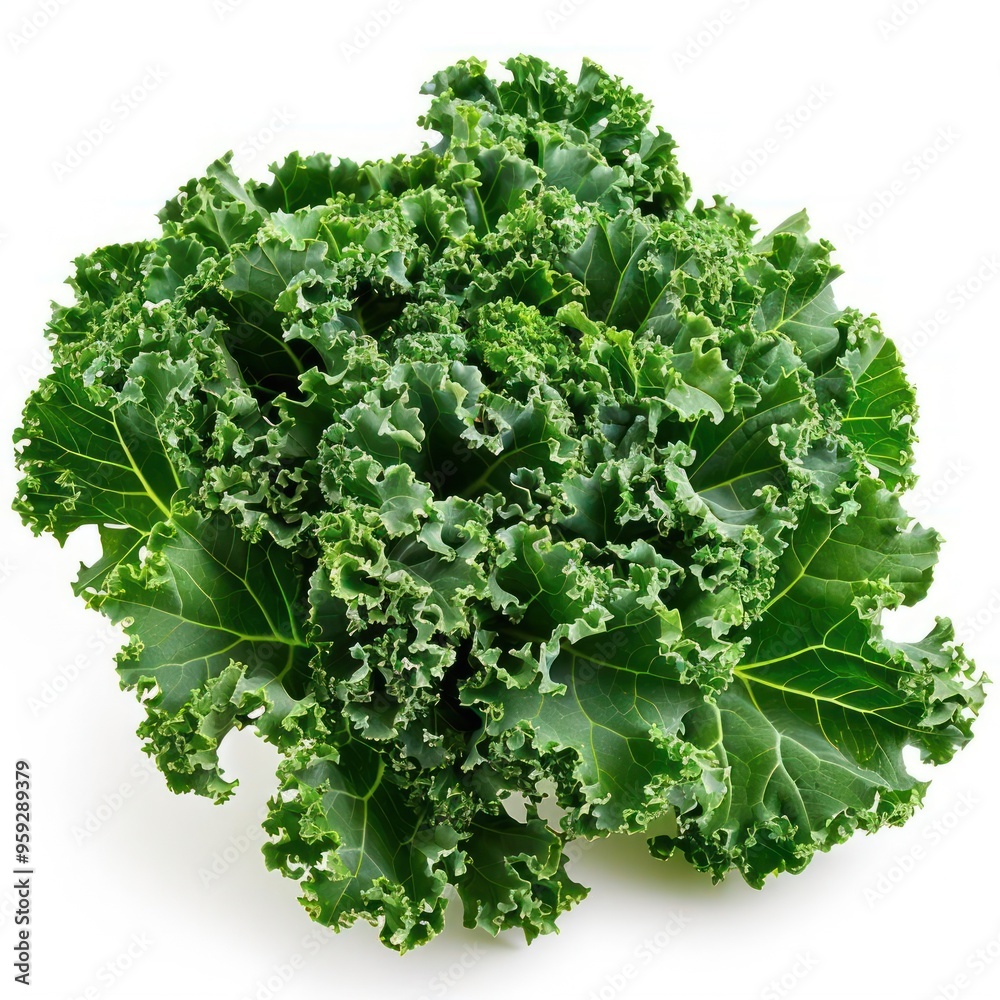 A close-up view of fresh, dark green kale leaves. A close-up view of fresh, dark green kale leaves.