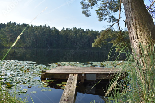 Auszeit am Steg photo