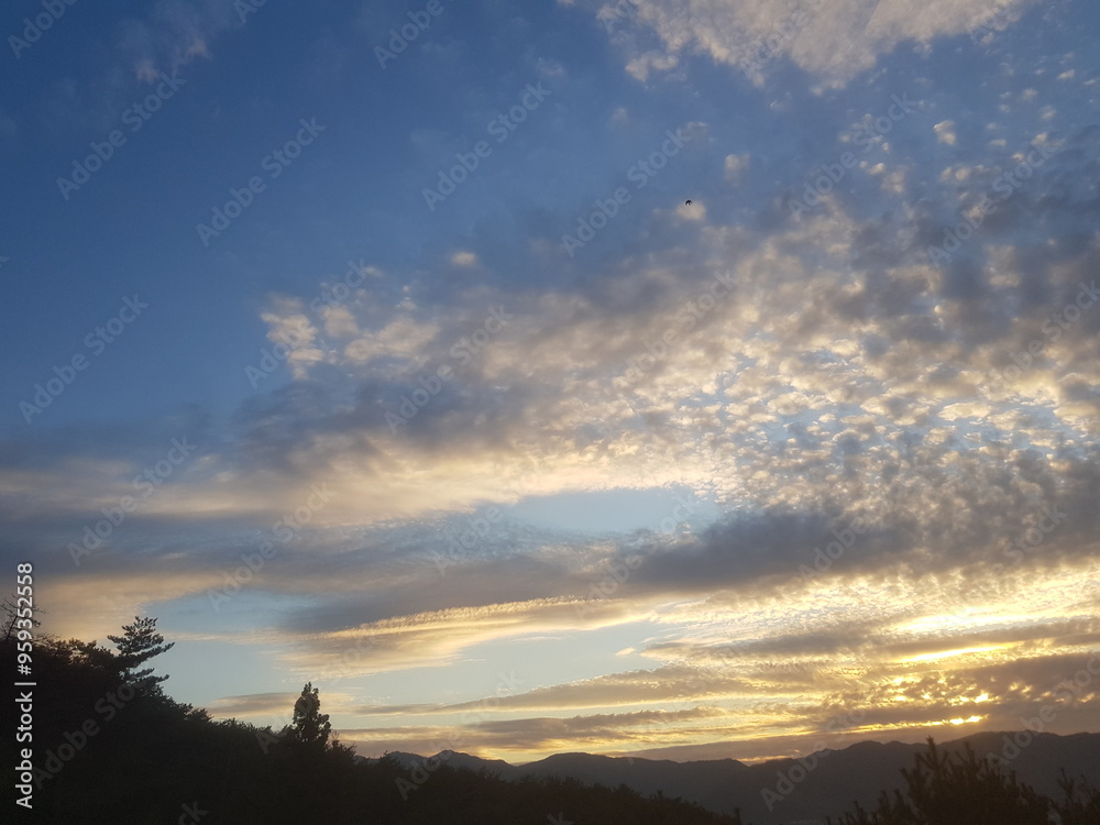 Obraz premium 늦가을 11월 말 오후 4시경의 하늘 구름 사진