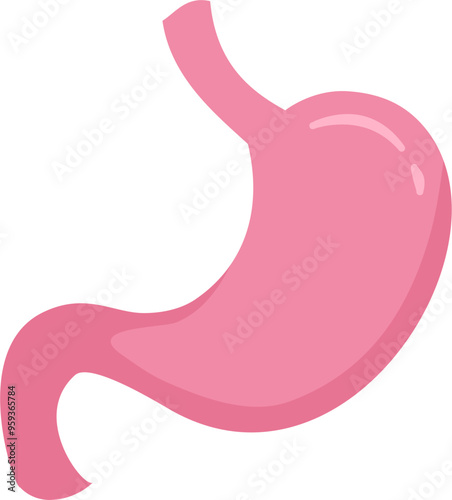 Stomach Illustration. 