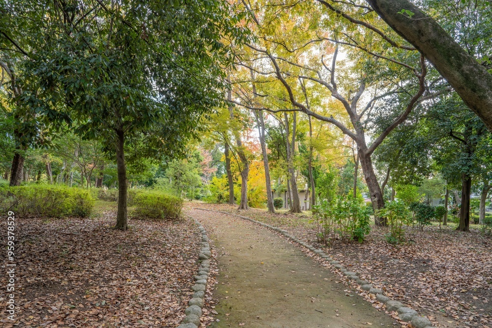 Fototapeta premium 静寂に包まれた秋の公園の情景