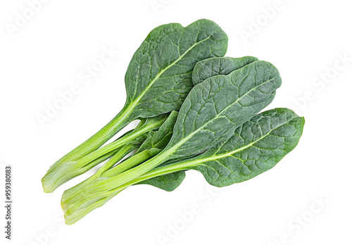 Chinese kale isolated. Green leaves of collards pattern