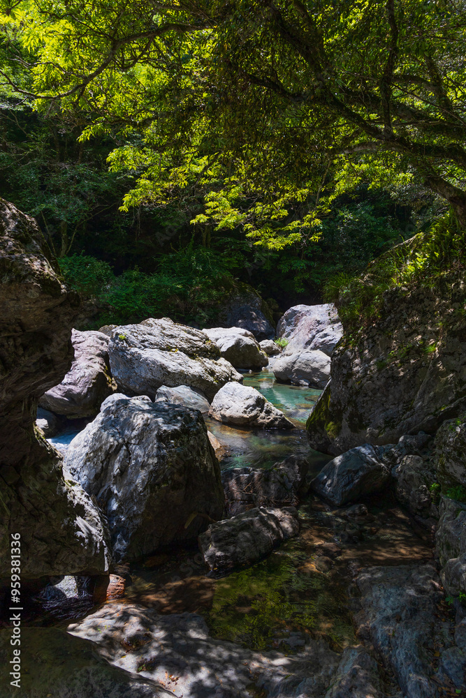 日本の風景・夏 高知 中津渓谷(仁淀ブルー) 日本の風景・夏 高知 中津渓谷(仁淀ブルー)