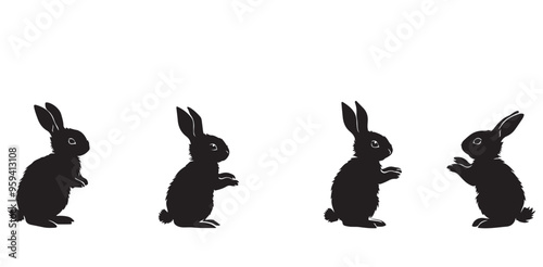 rabbit vector