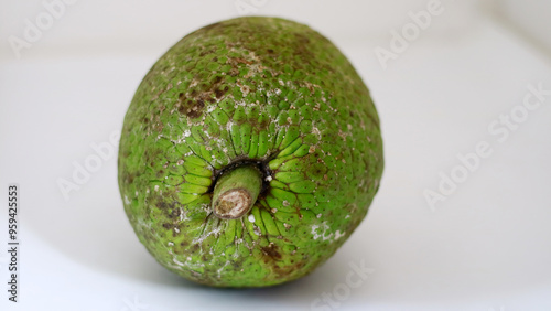 Breadfruit or Artocarpus altilis on white background. photo