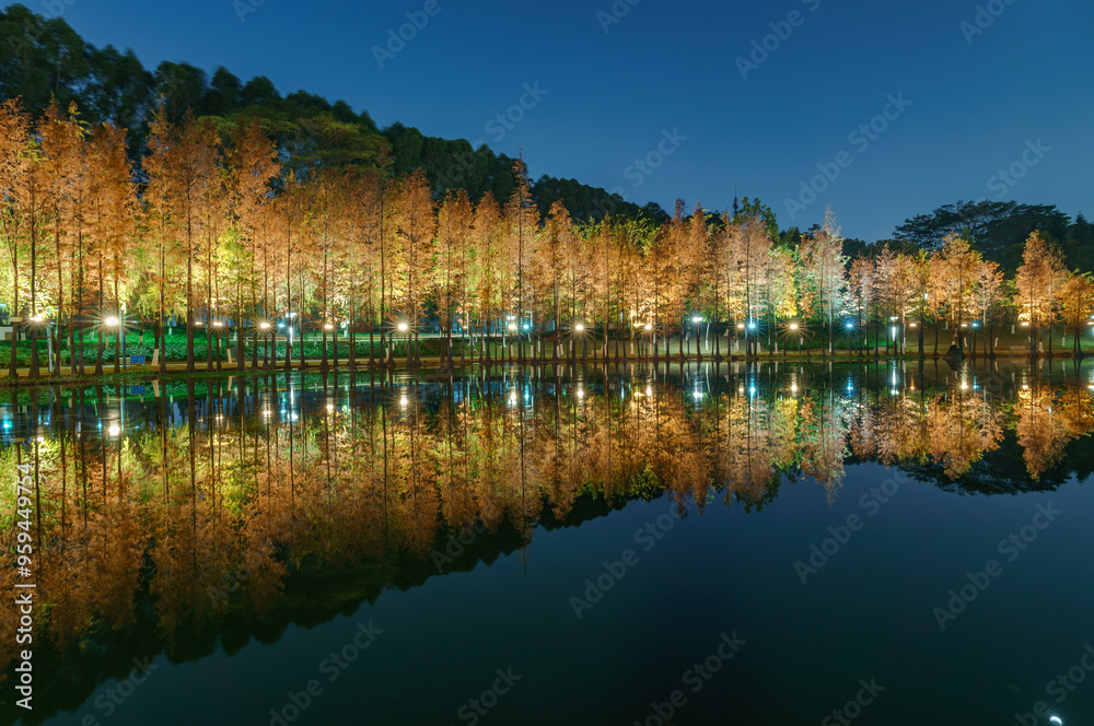 Fototapeta premium Night view of red foliage of larch by the lake in City Park