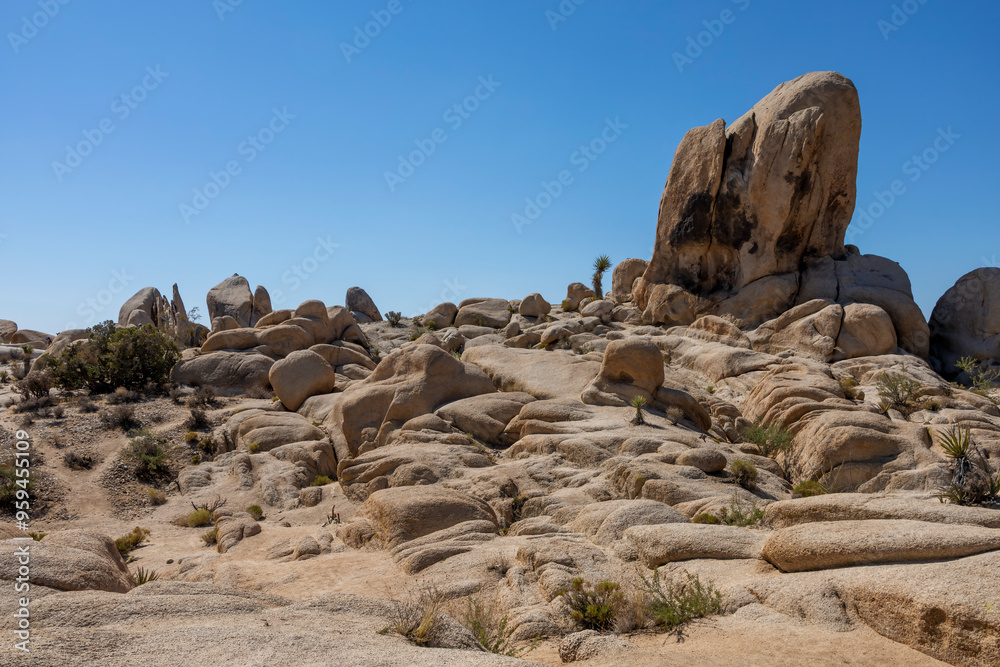 A stunning arid landscape in Joshua Tree National Park, California, featuring smooth rock formations and desert plants under a bright blue sky. A stunning arid landscape in Joshua Tree National Park, California, featuring smooth rock formations and desert plants under a bright blue sky.