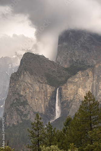 Obraz na plátně USA, California, Yosemite National Park