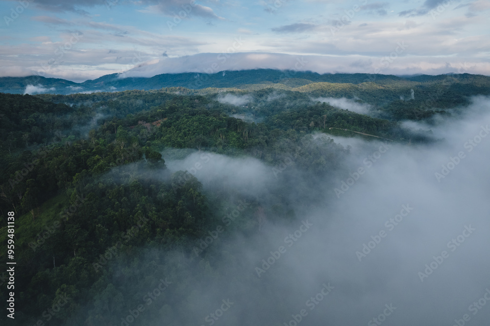Mists at sunrise,Morning fog and mountains in the forest Mists at sunrise,Morning fog and mountains in the forest