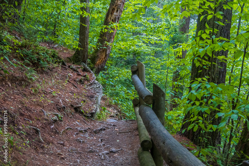 Photography Walking trail in nature preserve of Delaware Water Gap National Recreation Area in Pennsylvania