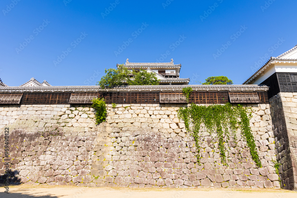 Obraz premium 日本の風景・夏 日本100名城 松山城