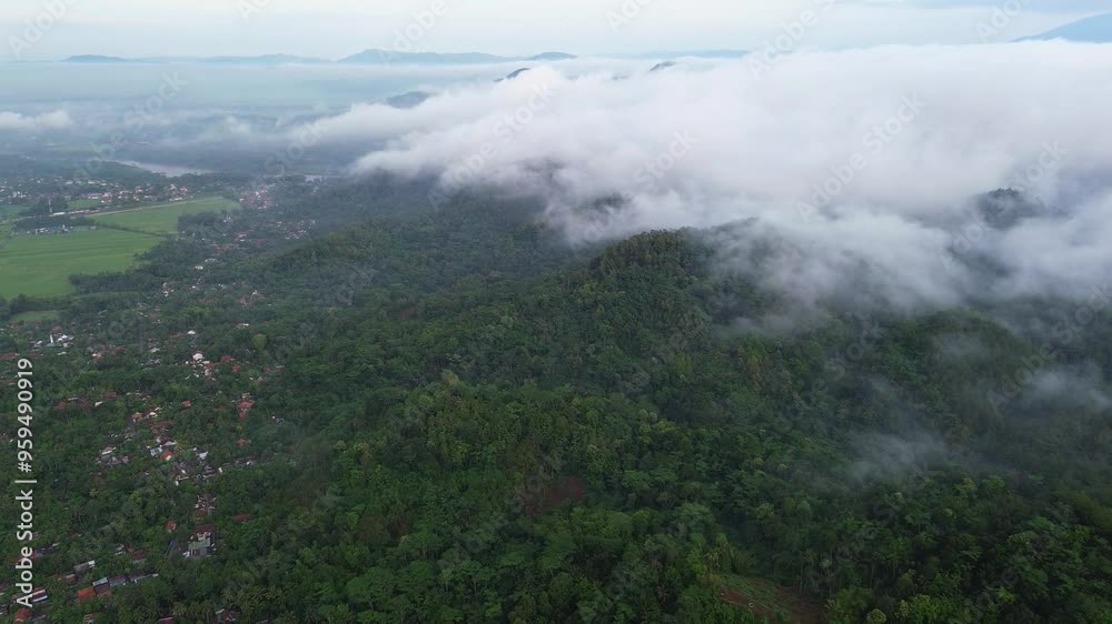 Drone aerial top view of trees and forest with dramatic morning mist passing above Drone aerial top view of trees and forest with dramatic morning mist passing above