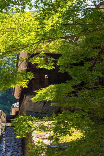 Wallpaper Mural 日本の風景・夏　日本100名城　松山城 Torontodigital.ca