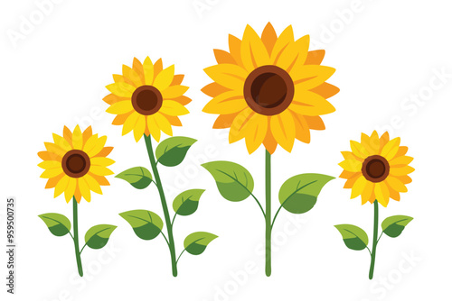 Sunflower flower set isolated flat vector illustration on white background.