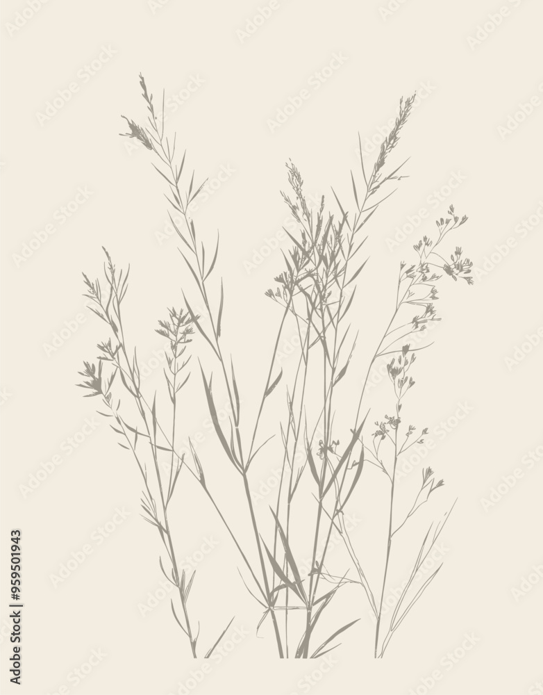 Black and white botanical illustration of wildflowers and grasses Black and white botanical illustration of wildflowers and grasses