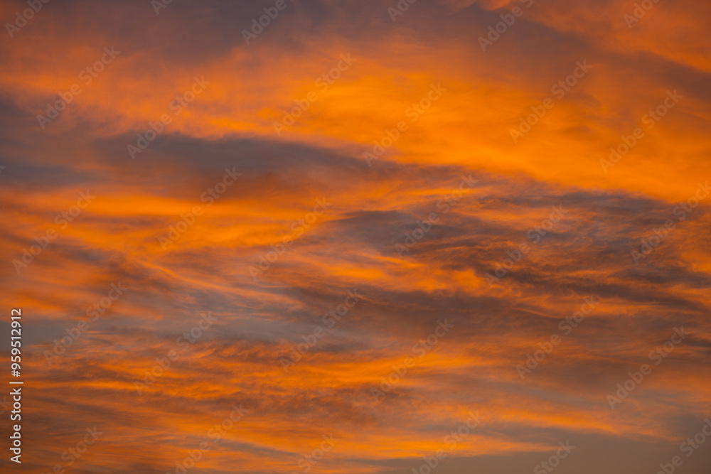 Enjoy a panoramic view of the skyline. The sun rises in the morning sky with colorful clouds. and beautiful cloud patterns In the soft light of the morning
Enjoy a panoramic view of the skyline. The sun rises in the morning sky with colorful clouds. and beautiful cloud patterns In the soft light of the morning