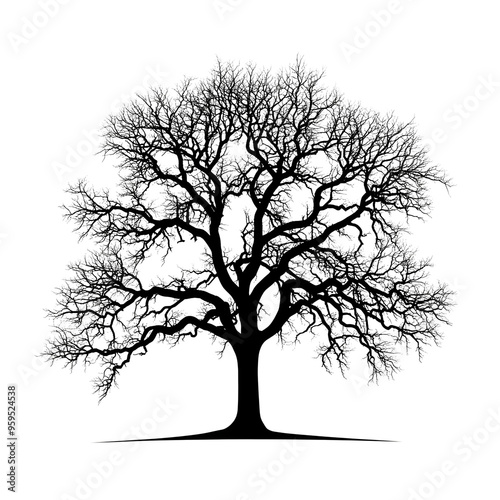 A Silhouette of a Bare Tree with Twigs Reaching Up, Isolated on a Transparent Background