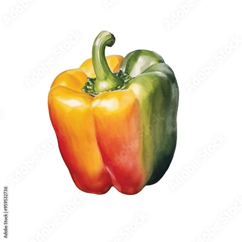 Watercolor of Bell pepper isolated white background
