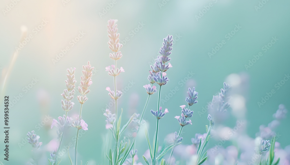 Obraz premium Soft watercolor splashes or strokes in muted tones, offering an artistic yet understated look