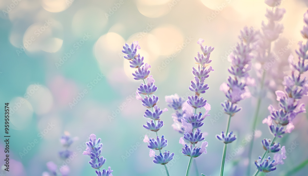 Obraz premium A single pastel color, such as mint green or lavender, providing a soothing and simple backdrop